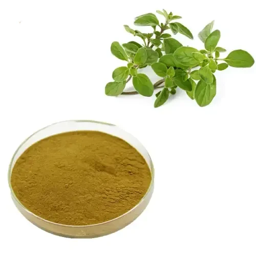 Oregano extract